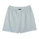 شورت پادار باکسر (دکمه دار) مردانه - آلبی C21412-4